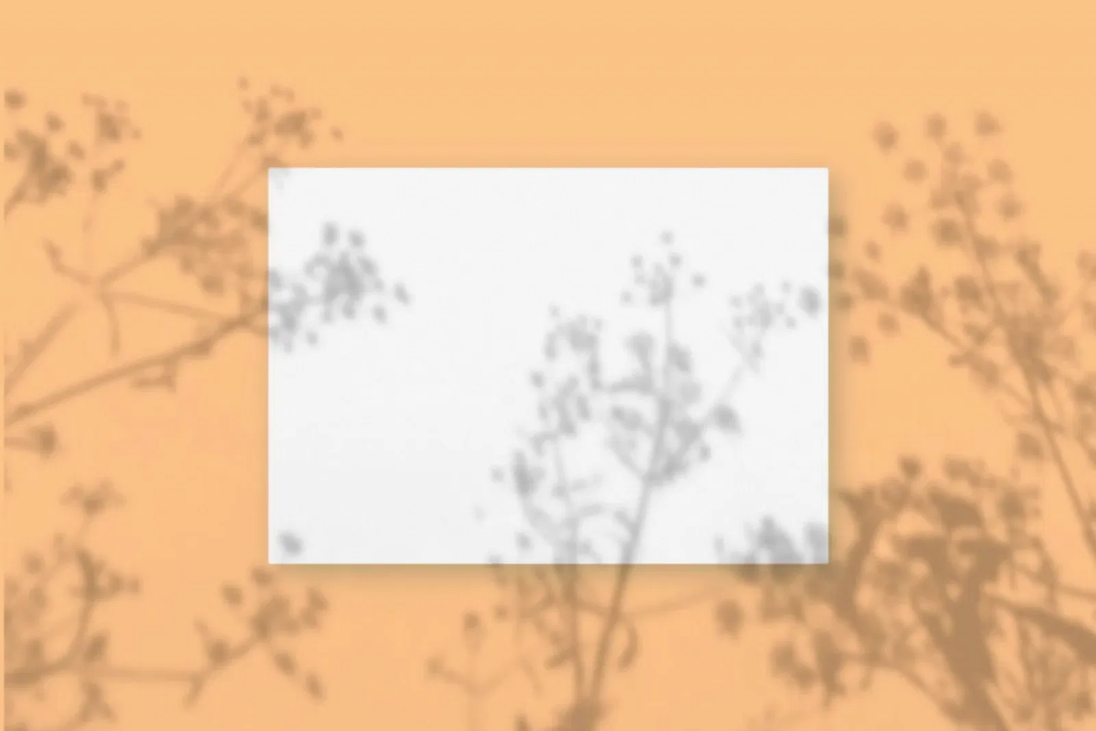 Natural light casts shadows from the plant on a rectangular sheet of white textured A4 paper lying on a beige textured background. Mockup.